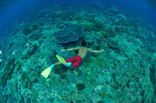 Lembongan Island Beach Club Cruise Photo